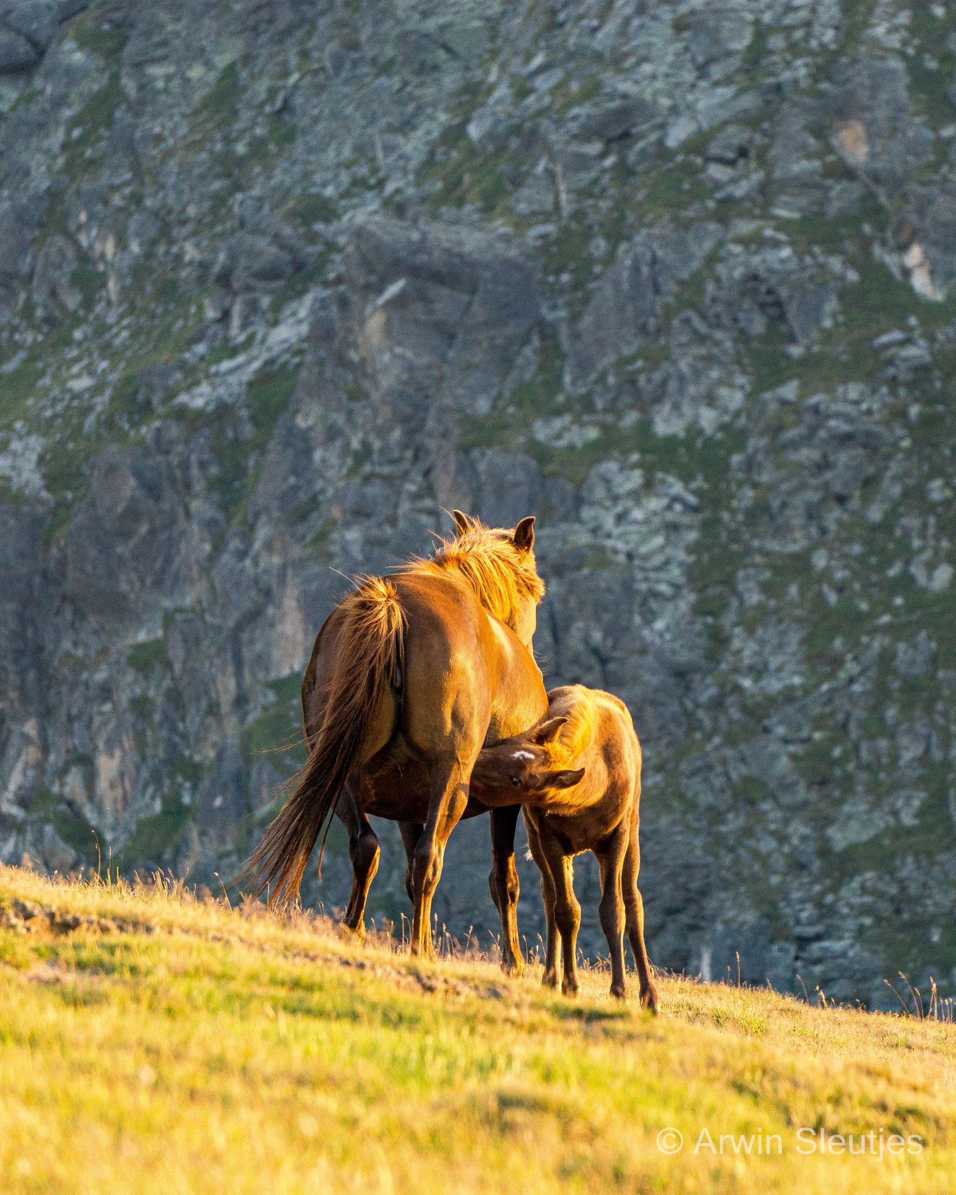 E4 Bulgaria and Greece — photo 12