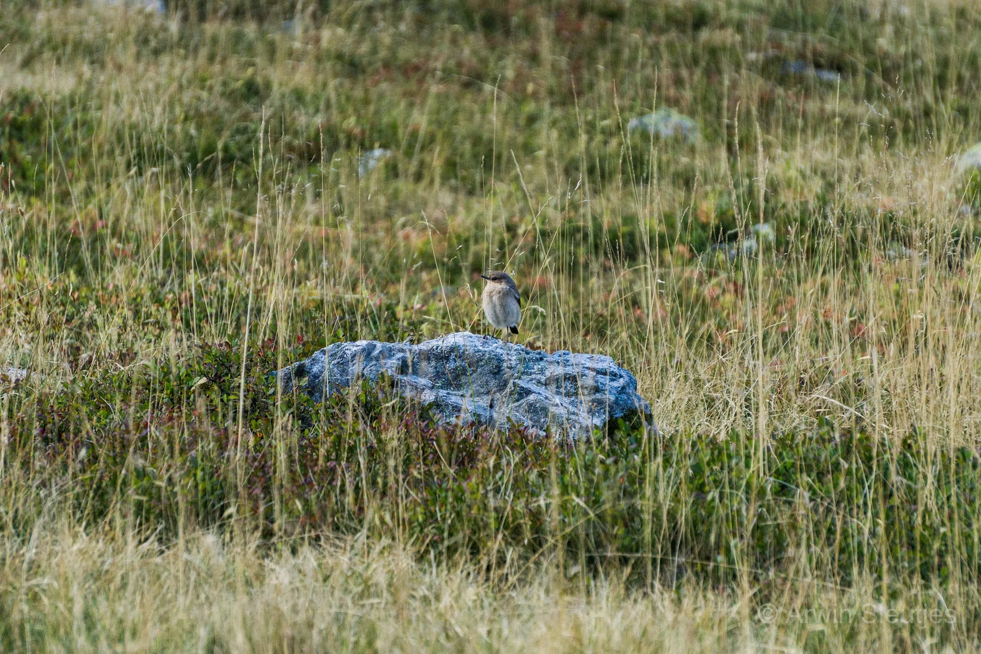 GR54 Ecrins — photo 8